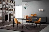  Gamma.  Pianca, .    .      -  
