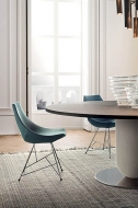  Gamma.  Pianca, .    .      -  