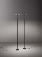  CD Led.  Quadrifoglio Group, .    .  , , 
