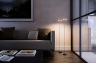  CD Led.  Quadrifoglio Group, .    .  , , 