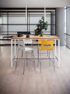  Celsius.  Quadrifoglio Group, .    - , ,   