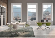  Cove.  Quadrifoglio Group, .    - , ,  , 