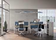  Diade.  Quadrifoglio Group, .     - , , , 