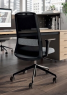  Diade.  Quadrifoglio Group, .     - , , , 