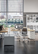  Idea+ 01.  Quadrifoglio Group, .      - , ,  