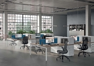  Idea+ 01.  Quadrifoglio Group, .      - , ,  