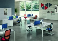  Idea+ 01.  Quadrifoglio Group, .      - , ,  
