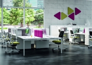  Idea+ 01.  Quadrifoglio Group, .      - , ,  