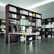  Libreria.  Quadrifoglio Group, .    .     - 