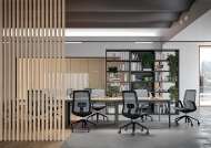  Ode.  Quadrifoglio Group, .     .     - 