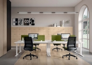 Omnia.  Quadrifoglio Group, .    .     - 
