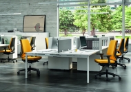  Omnia.  Quadrifoglio Group, .    .     - 