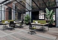  Oxygen.  Quadrifoglio Group, .    .     - 