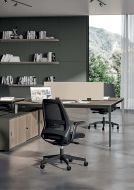  Oxygen.  Quadrifoglio Group, .    .     - 