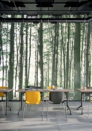  Pop Up.  Quadrifoglio Group, .        .   