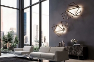  Starlight.  Quadrifoglio Group, .      -    