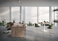  X-Time Work.  Quadrifoglio Group, .      - ,  
