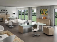  X-Time Work.  Quadrifoglio Group, .      - ,  