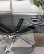  Shangai  Limited Edition.  Riflessi, .       .   