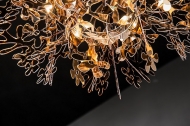  Fiorella.  Slamp, .    .     - , 