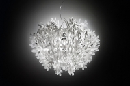  Fiorella.  Slamp, .    .     - , 