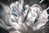 Lafleur.  Slamp, .    .     - , 