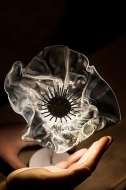  Lafleur.  Slamp, .    .     - , 