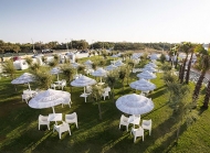  Coccolona. : Scab Design, .       .   
