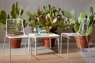  Summer. : Scab Design, .   ,      .  