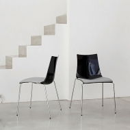  Zebra. : SCAB Design, .      .   .