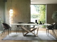 ����� Rachele. ������������ Sedit, ������. ������� ���������� ���� �� ���������� � ��������� ��������� � ������� ������. ����� �