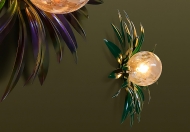  Dahlia,  Wonderland.  Signorini&Coco, .    .   