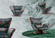  Orchidea,  Wonderland.  Signorini&Coco, .   .    