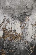  Gabrielle Abstract,  Sitap - .       .  