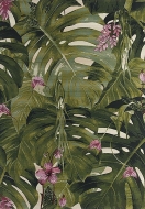  Jungle,  Sitap - .      .     