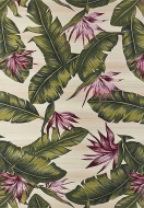  Jungle,  Sitap - .      .     