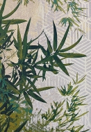 Jungle,  Sitap - .      .     