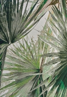  Jungle,  Sitap - .      .     