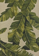 Jungle,  Sitap - .      .     