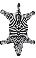  Animals,  Sitap - .      .   .