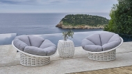  Dynasty,  Skyline, .     -    ,    