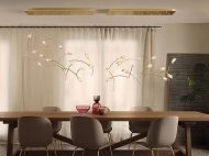  Tulip.  Slamp, .    .     - , 