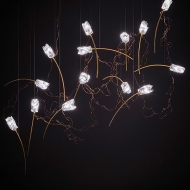  Tulip.  Slamp, .    .     - , 