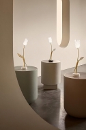  Tulip.  Slamp, .    .    .