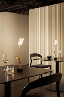  Tulip.  Slamp, .    .    .