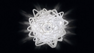  Aurora.  Slamp, .   .     - ,   
