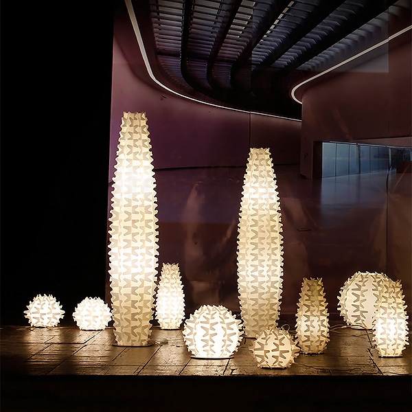 Cactus, Slamp.    .