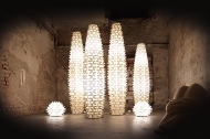  Cactus.  Slamp, .   .     - , 