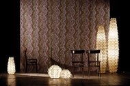  Cactus.  Slamp, .   .     - , 