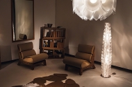  Cactus.  Slamp, .   .     - , 